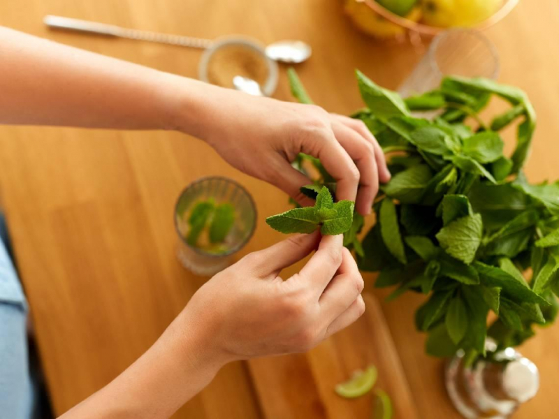 不只是涼涼的而已...這個熟悉味道，為何能讓大腦越聞越靈光？醫師：每天幾分鐘，還能抗老防蛀牙